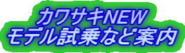 �J���T�LNEW ���f������Ȃǈē�