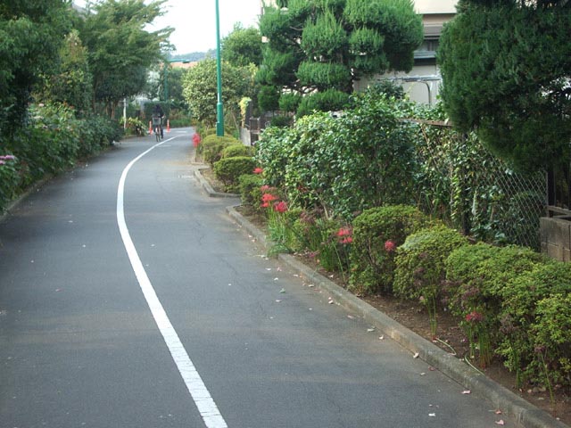 ���쌴�Γ��������