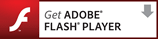 flash player�̃_�E�����[�h