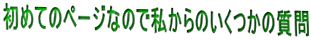 ���߂Ẵy�[�W�Ȃ̂Ŏ�����̂������̎��� 