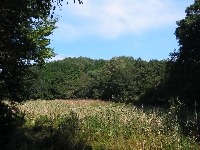 �V������