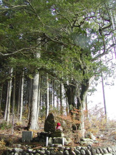 �r���J��