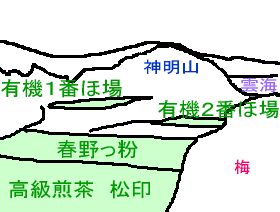 茶園の写真の説明