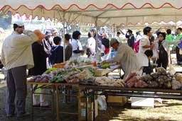 宮崎県上鹿川キャンプ場便り