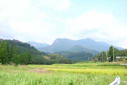 上鹿川の谷間