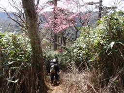 宮崎県上鹿川や福岡市近郊でのフライフィッシング