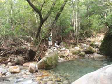 宮崎県上鹿川や福岡市近郊でのフライフィッシング