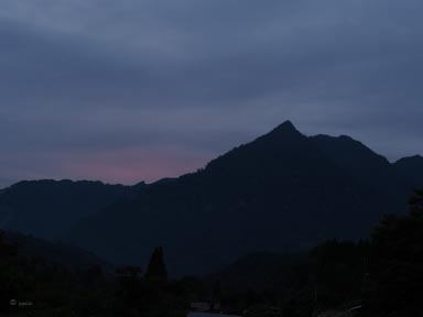 宮崎県上鹿川や福岡市近郊でのフライフィッシング