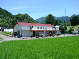 上鹿川アルバム・夏の奈須商店全景