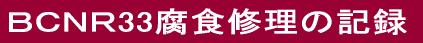 �a�b�m�q33���H�C���̋L�^