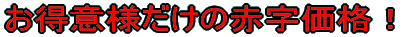 �����ӗl�����̐Ԏ����i�I