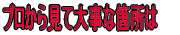 �v�����猩�đ厖�ȉӏ���