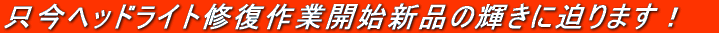 �����w�b�h���C�g�C����ƊJ�n�V�i�̋P���ɔ���܂��I 