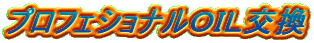 �v���t�F�V���i���n�h�k����