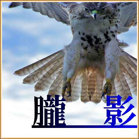 �����N�o�i�|����I