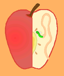 ь