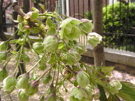 �Фβ֤κ���ݵ��