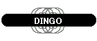 DINGO