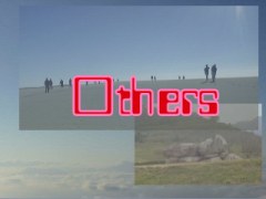 Others