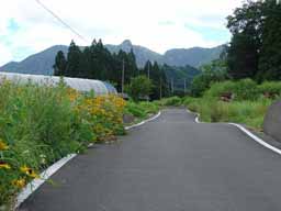 上鹿川アルバム・奈須商店全景