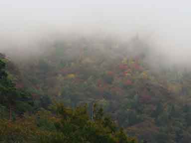 宮崎県上鹿川や福岡市近郊でのフライフィッシング