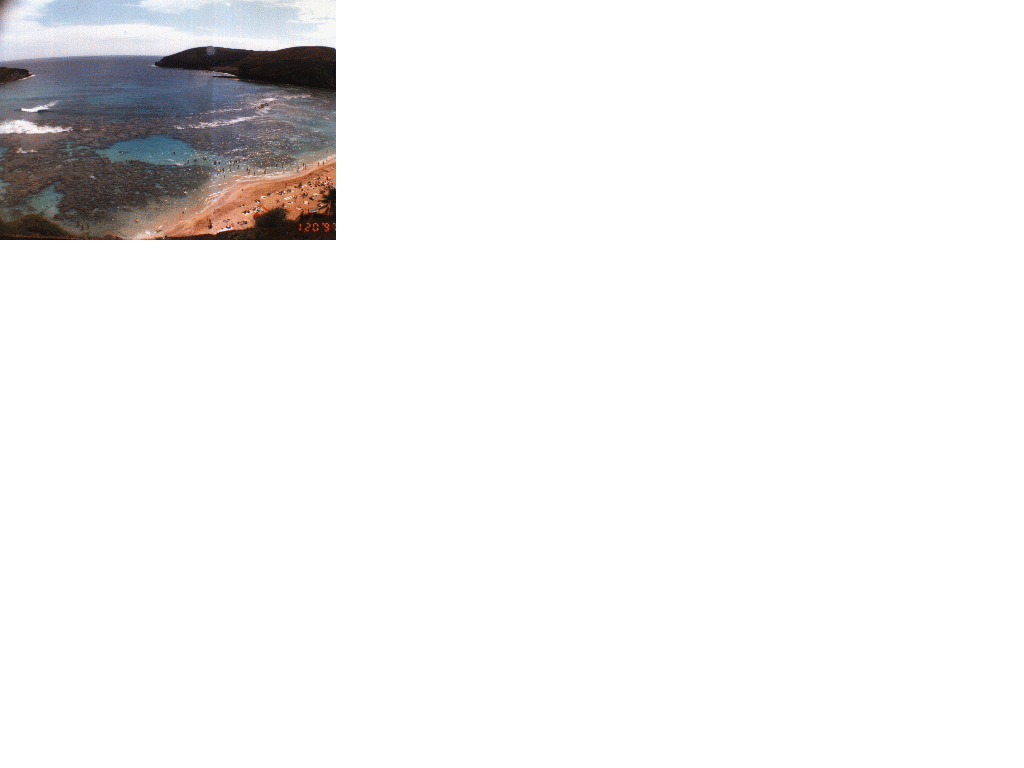 Hanauma Bay