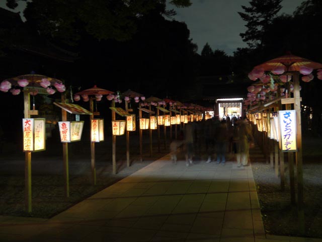 ���_�傭�����Ĕq�a����