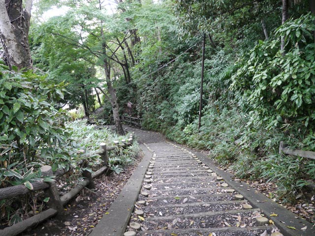 �R���~��铹