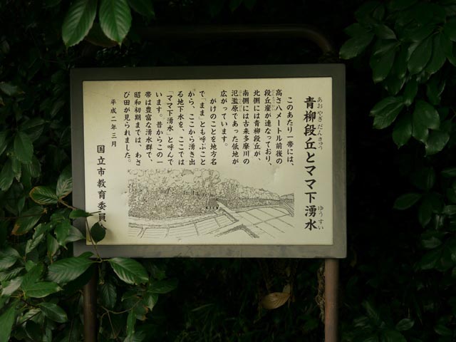 �}�}�̗N��