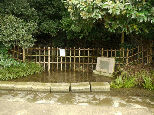 �}�}�̗N��