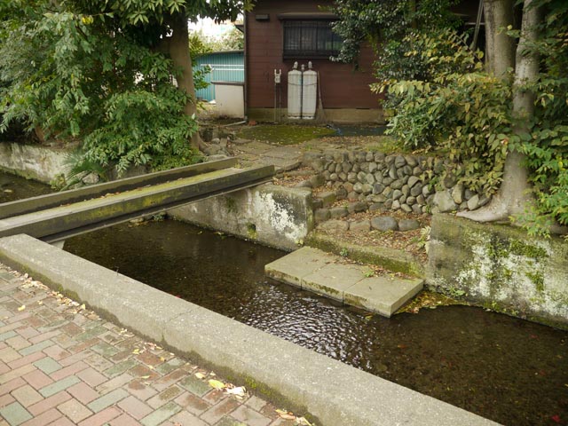 ��쉈���̖���