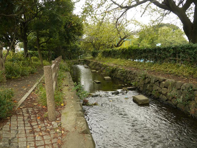 ���w�Z�̍Z�뉡�𗬂����