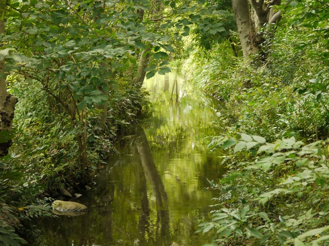 ���Βn���𗬂����