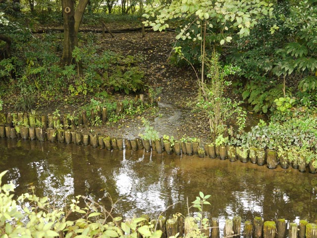 ���Βn���Ō�����N����