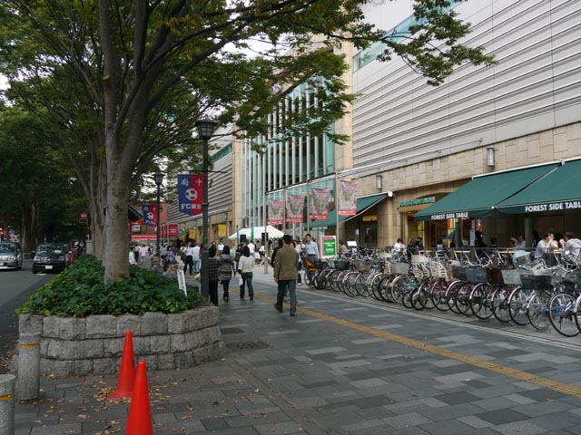 �t�H�[���X�O�̍L������