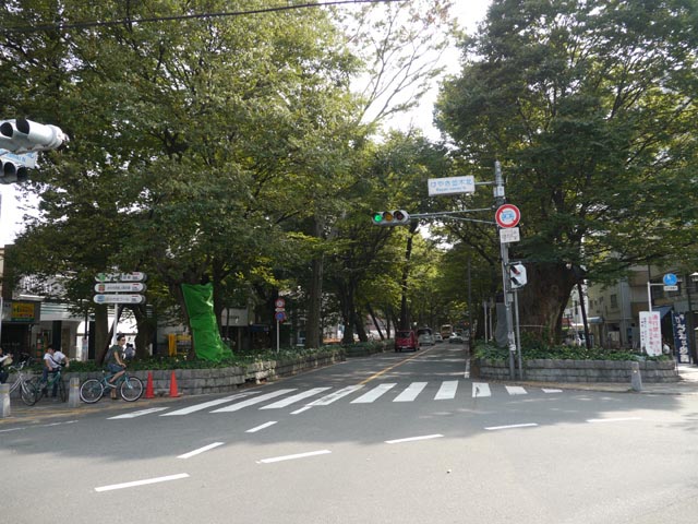 ���₫���ؖk�[