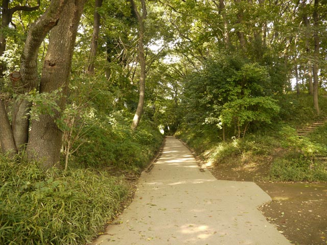 ���q�X���㓹�̐؂�ʂ�