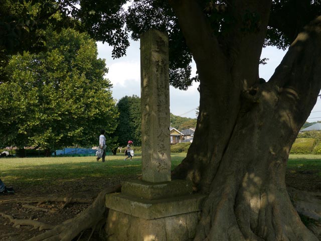 �����m������