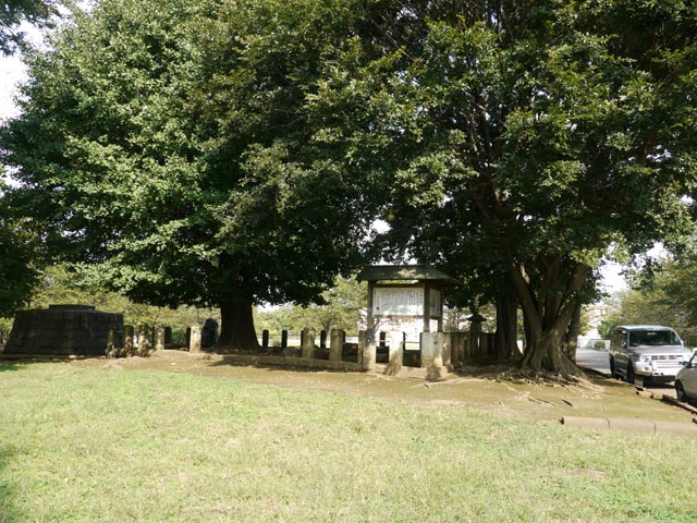 ���d�̓���