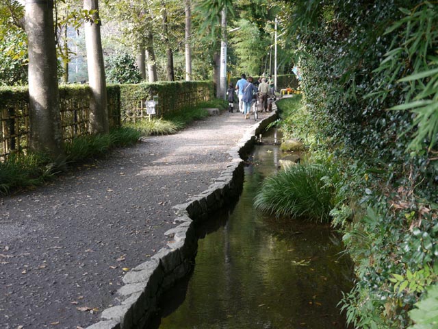 �r���Ŗk�֐܂�^�p�̒r���ʂ�