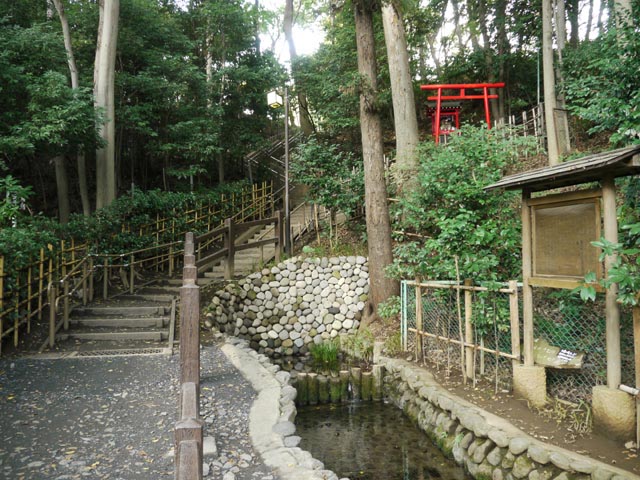 �^�p�̒r�N���Q�̗N���_�̈��