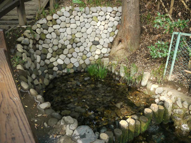 �^�p�̒r�N���Q�̗N���_�̈��