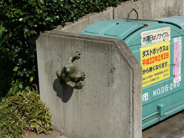 壁に貼り付くカエル