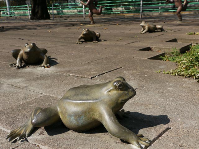 のしのし向かってくるようなカエル