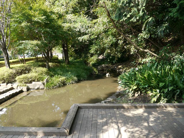 用水