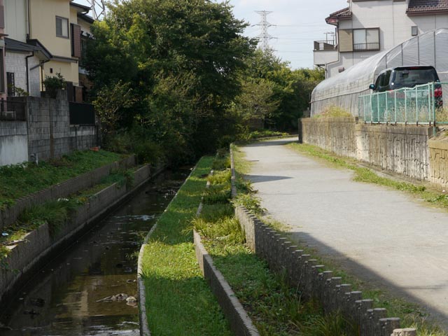 用水