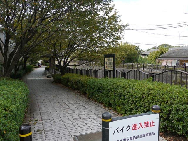 程久保川沿いの道