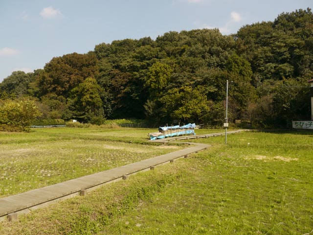 木道