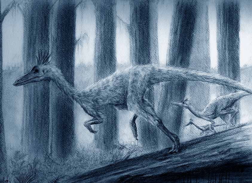 コエロフィシス(Coelophysis)