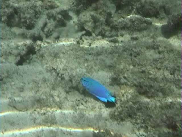 ������o�Ă�����